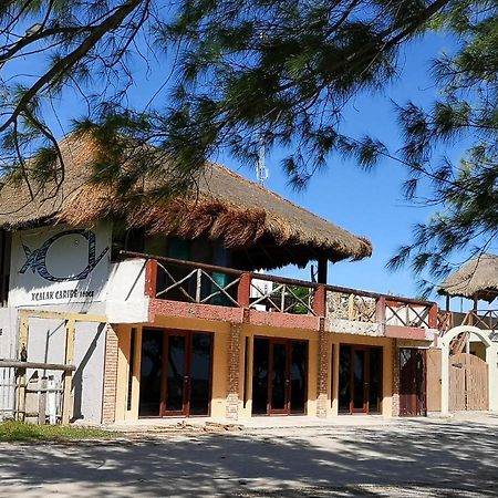 Xcalak Caribe Lodge Eksteriør bilde