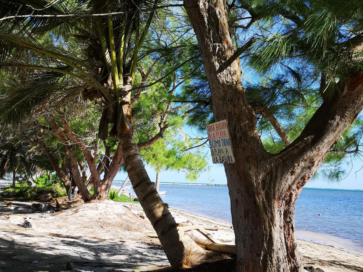 Xcalak Caribe Lodge Eksteriør bilde