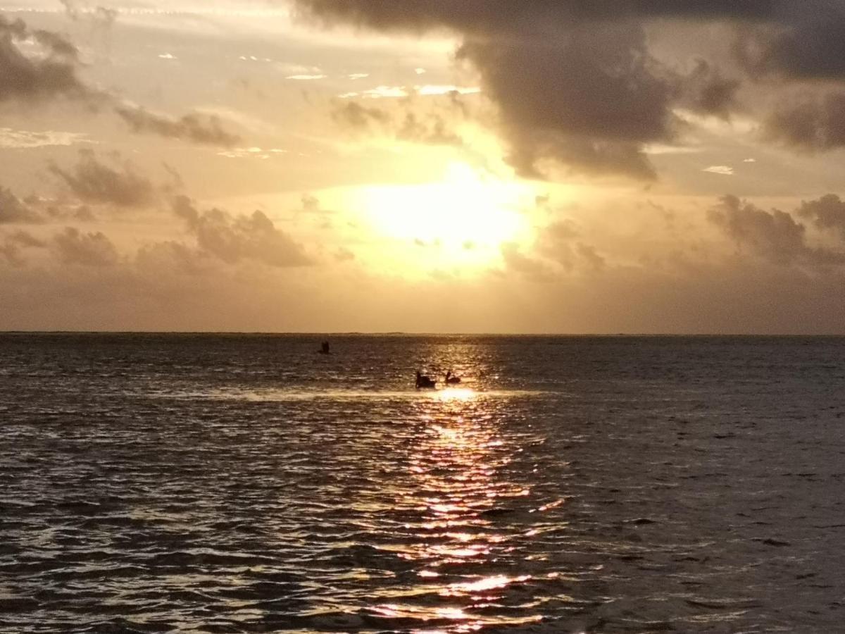 Xcalak Caribe Lodge Eksteriør bilde