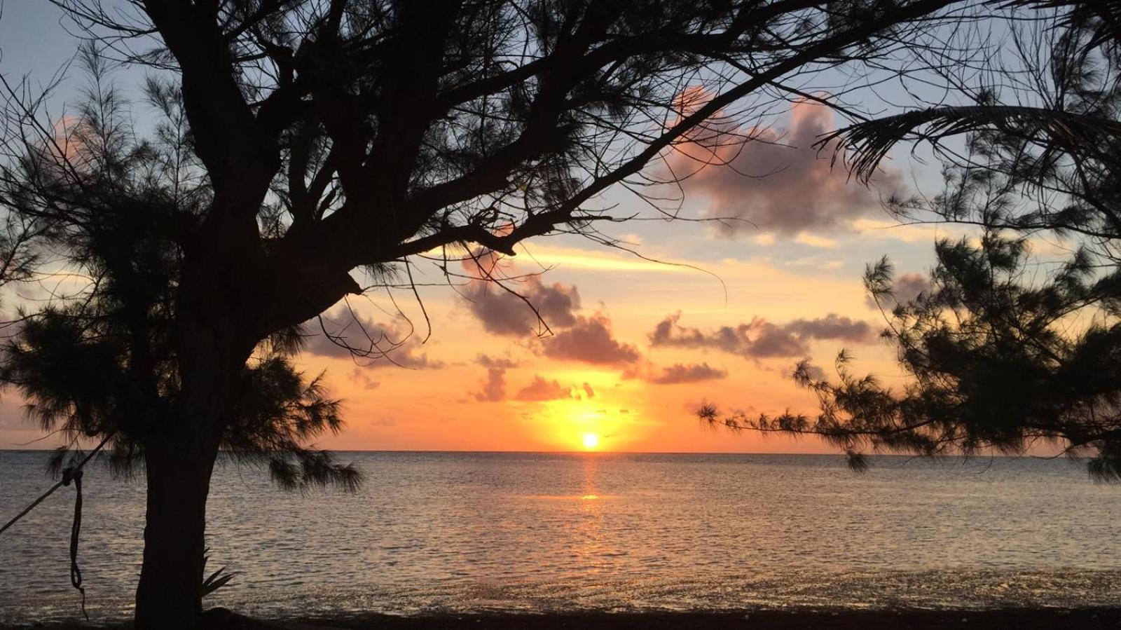 Xcalak Caribe Lodge Eksteriør bilde